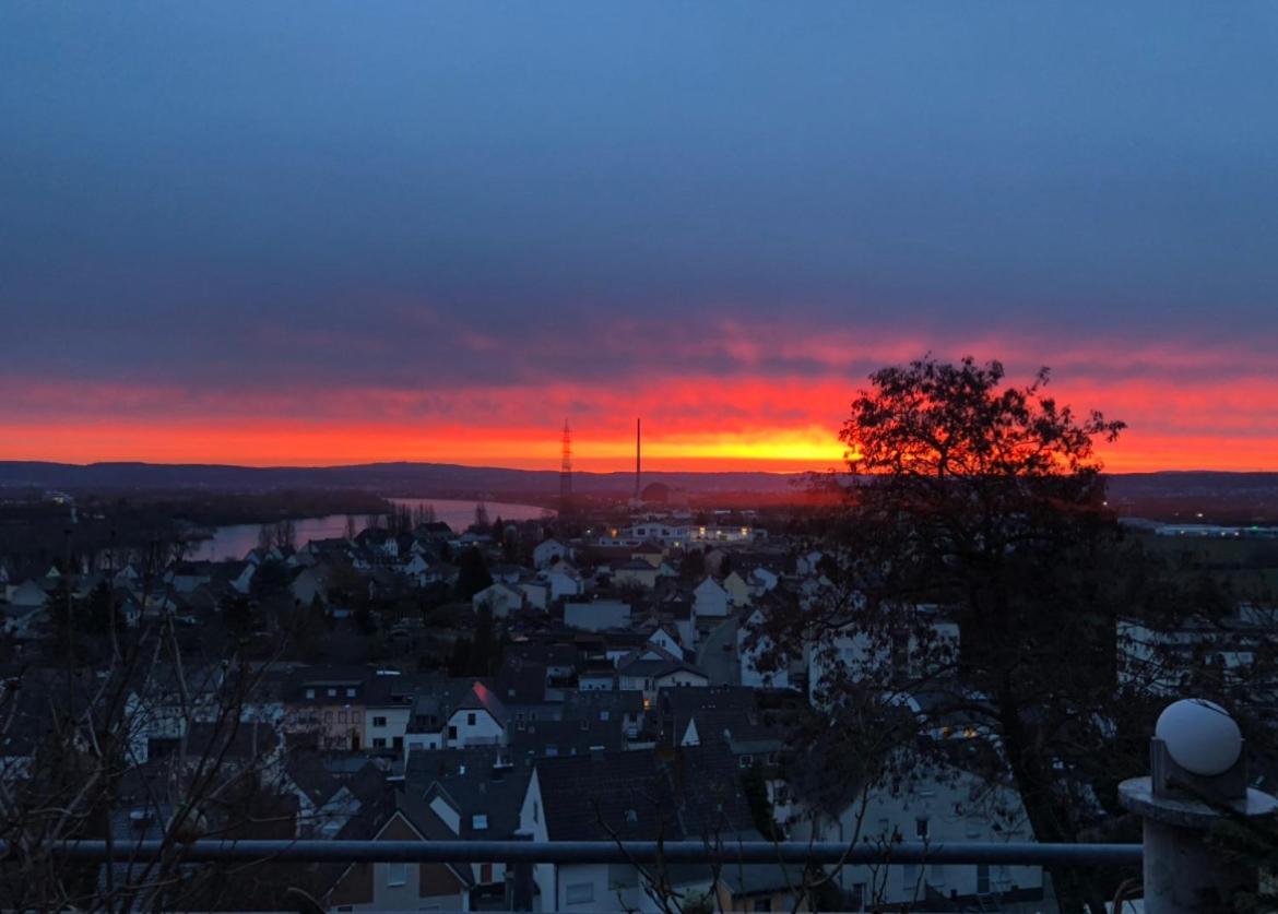 Zum Schoenen Ausblick Weissenthurm Zewnętrze zdjęcie